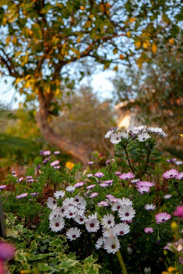 Villa Panoramica Terracina Kültér fotó